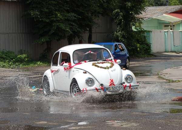 VW 1200