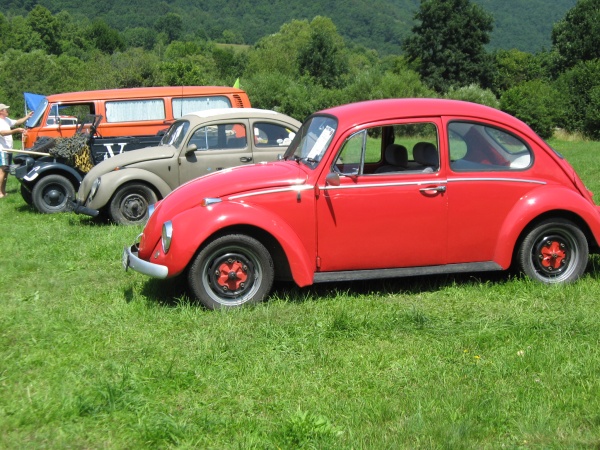 VW 1300
