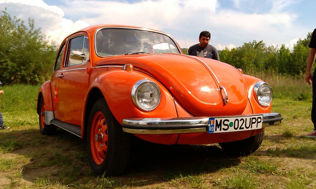 VW 1302