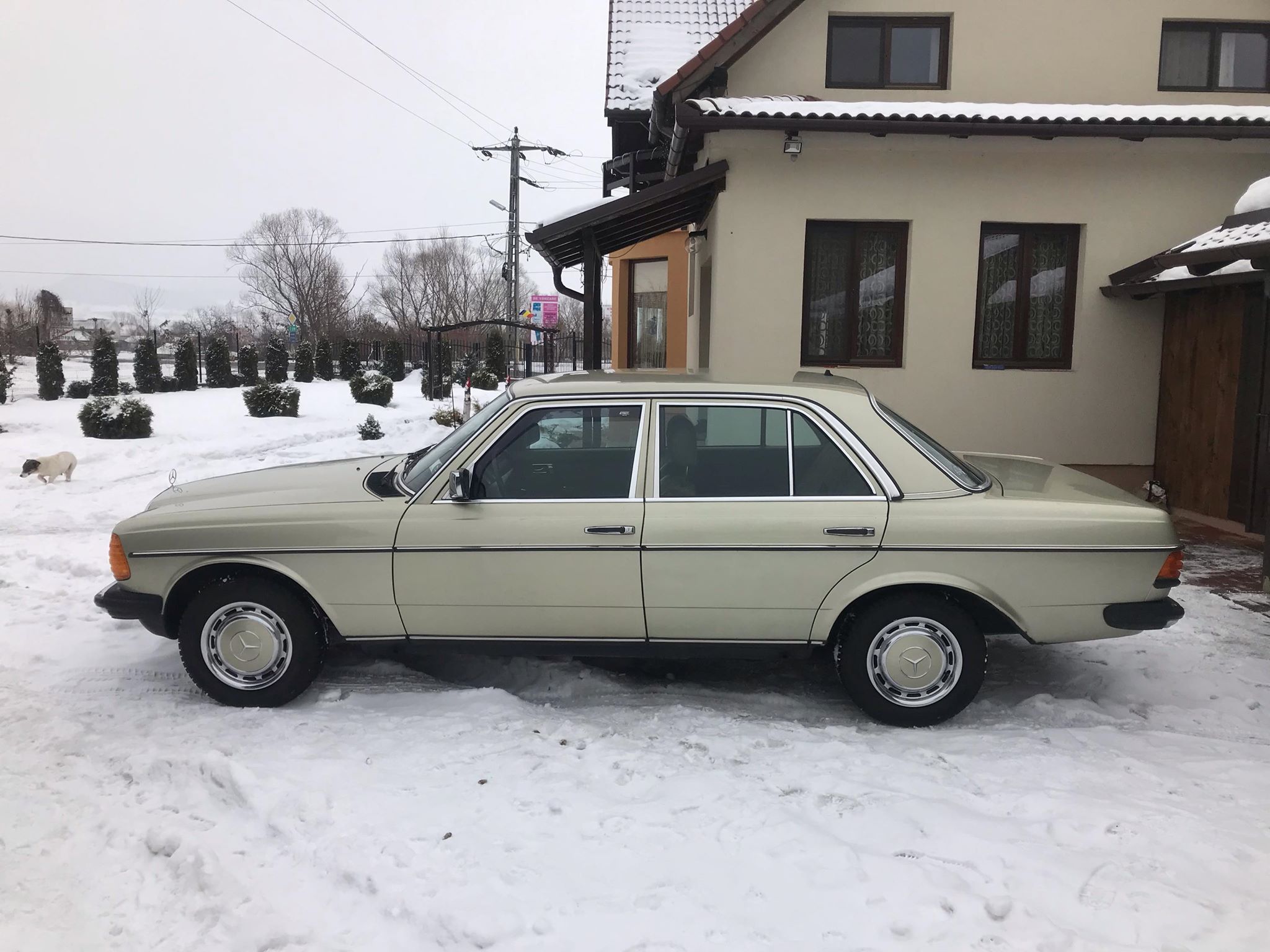 Mercedes Benz 240D