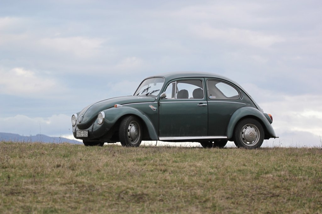 VW 1302