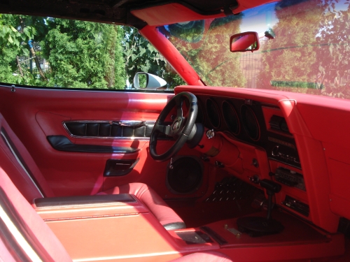 Vand ford mercury cougar #6